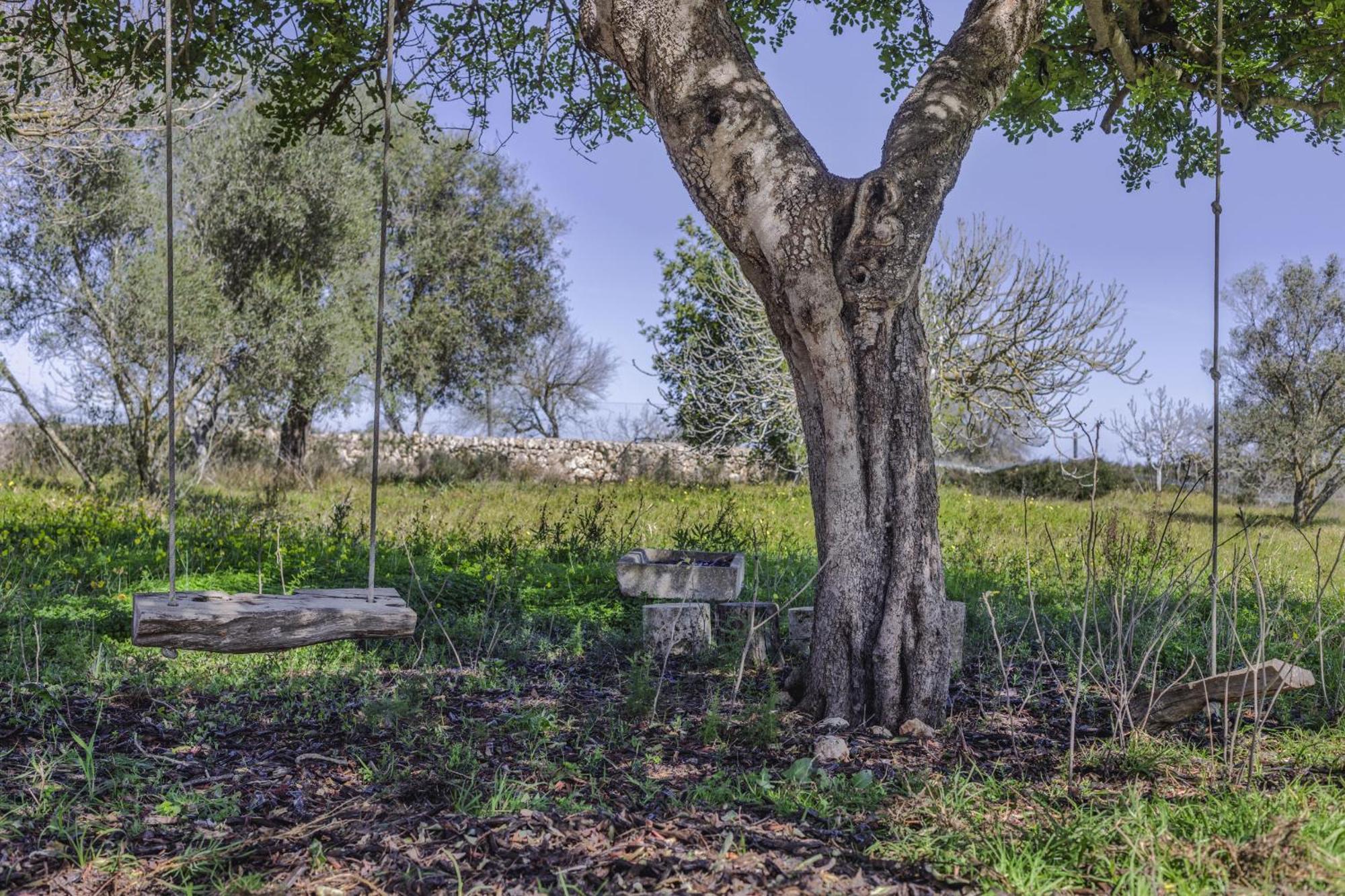 Finca Sa Torreta Santa Margalida Exteriör bild